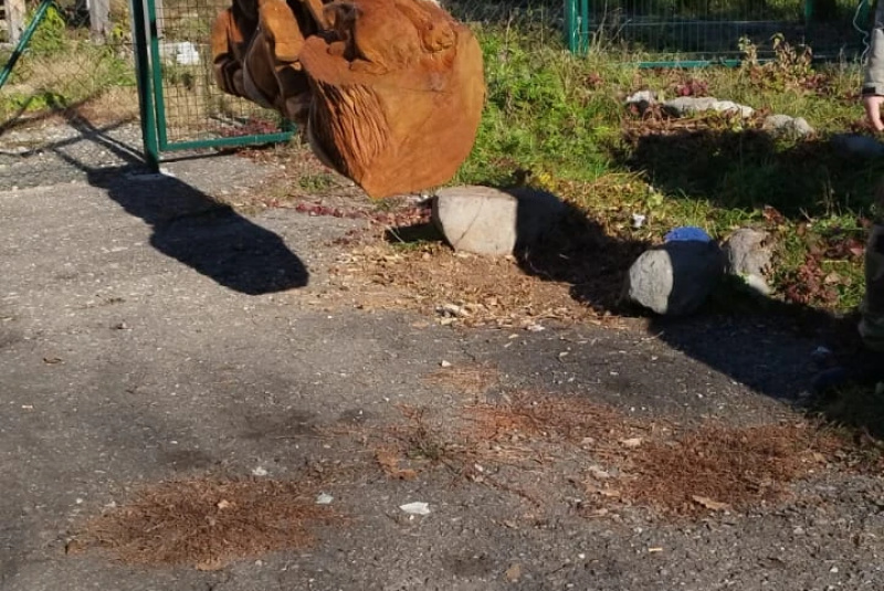 Projekty / Projekt NCH Po stopách Maginhradu - foto