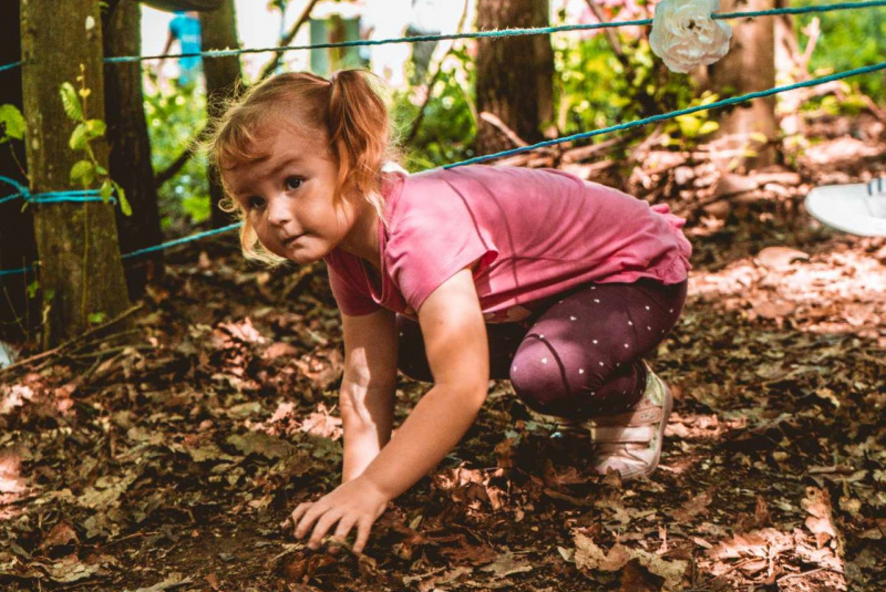 Zaujímavosti / Cesta rozprávkovým lesom - foto