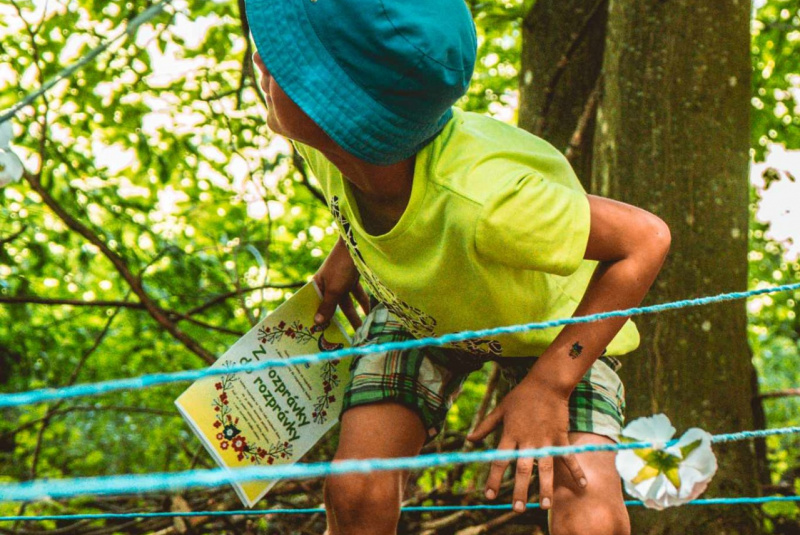 Zaujímavosti / Cesta rozprávkovým lesom - foto