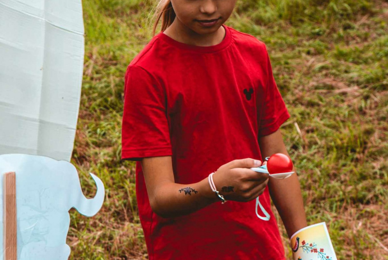 Zaujímavosti / Cesta rozprávkovým lesom - foto