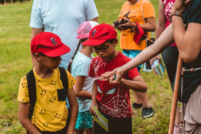 Zaujímavosti / Cesta rozprávkovým lesom - foto