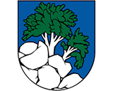 Logo/Erb Nižný Skálnik